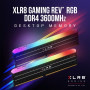 PNY XLR8 Gaming REV RGB 16GB (2x8GB) DDR4 3600MHz C18 - Mémoire RAM | Infomax Paris
