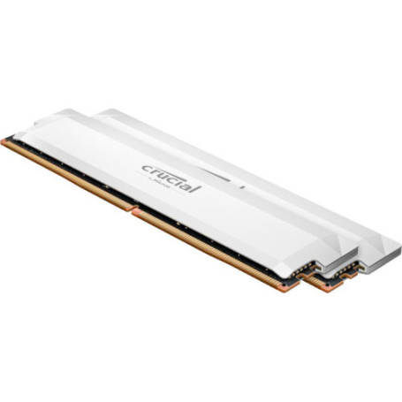 Crucial Pro 2x16Go DDR5 6000C36 - Blanc - Mémoire RAM | Infomax Paris