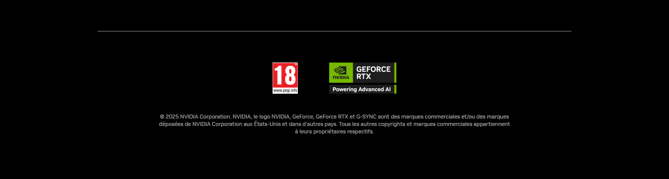  NVIDIA footer