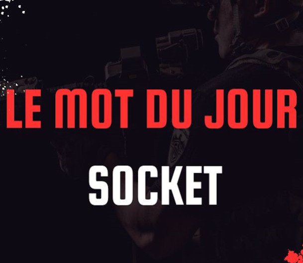 Le socket définition, rôle et choix Glossaire informatique Infomax