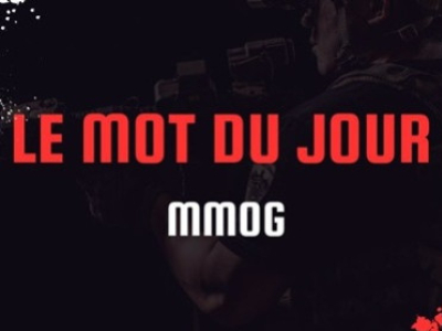 Guide des MMOG : voyage au cœur des mondes massivement multi-joueurs